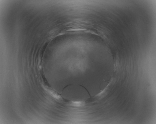 X0000082180187200701270036