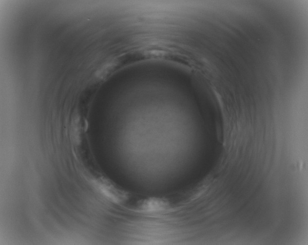 X0000082180223200701270035