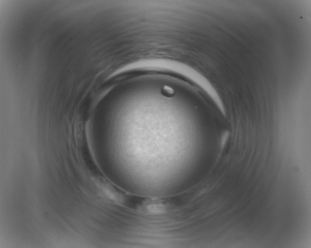 X0000082180228200701270035