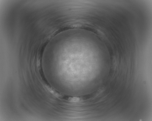 X0000082180230200701270035