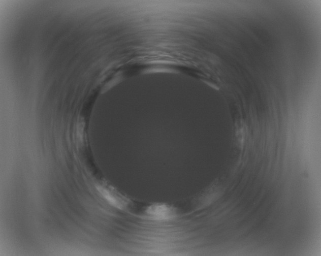 X0000082180231200701270035