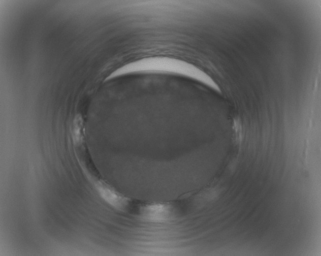 X0000082180237200701270034