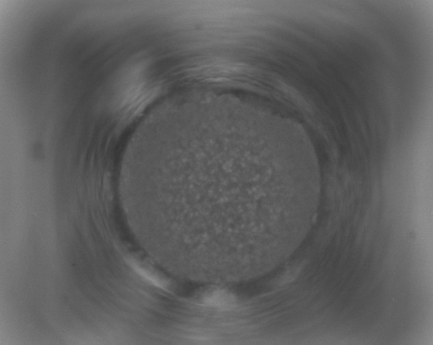 X0000082180258200701270034