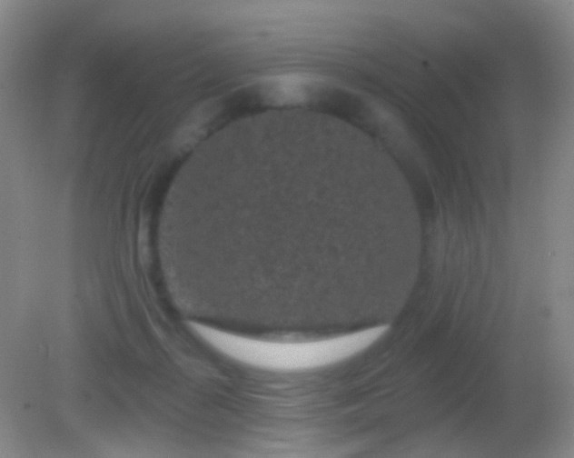 X0000082180267200701270034