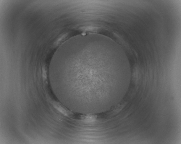 X0000082180282200701270034