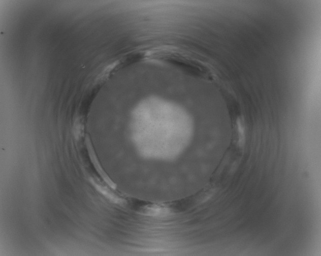 X0000082180284200701270034
