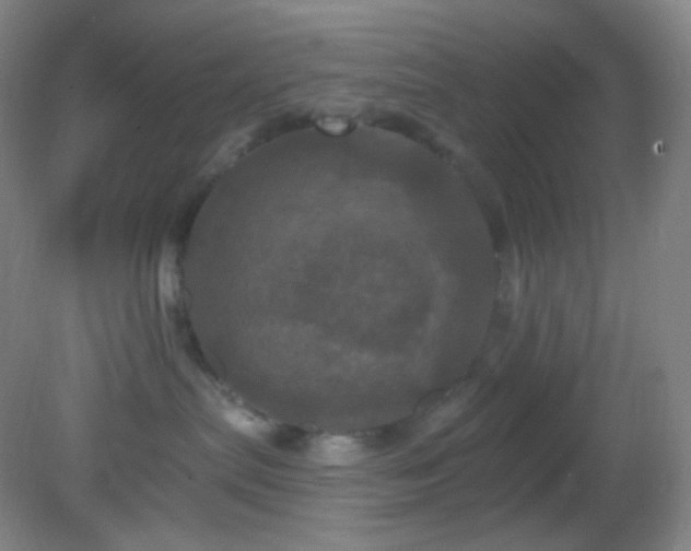 X0000082180287200701270034
