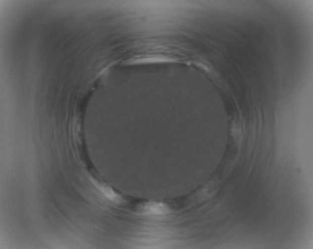 X0000082180322200701270033