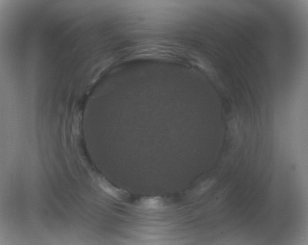 X0000082180325200701270033