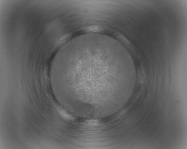 X0000082180377200701270033