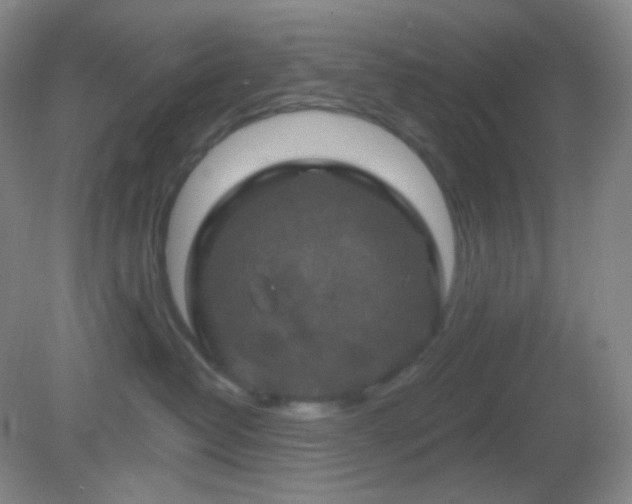 X0000082180382200701270033
