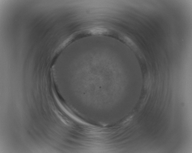 X0000082180405200701270032