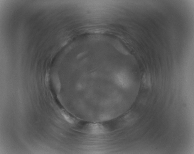 X0000082180424200701270031
