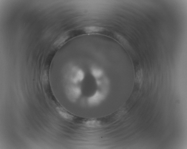 X0000082180426200701270031