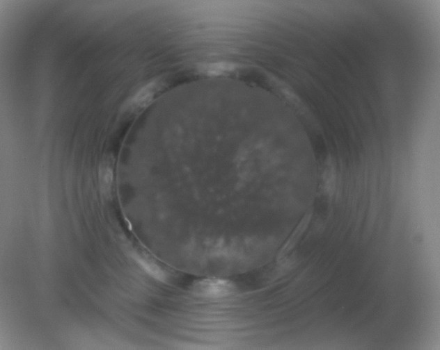X0000082180427200701270031