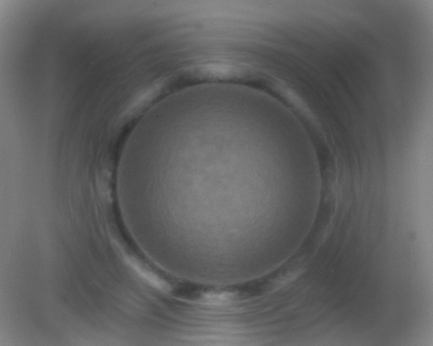 X0000082180450200701270031