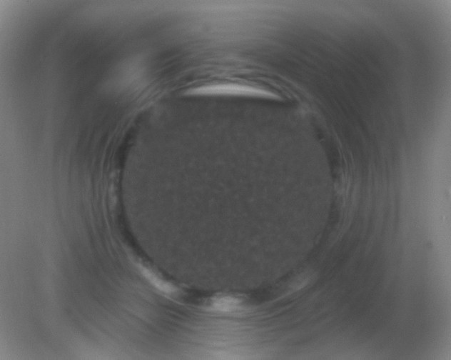 X0000082180462200701270031