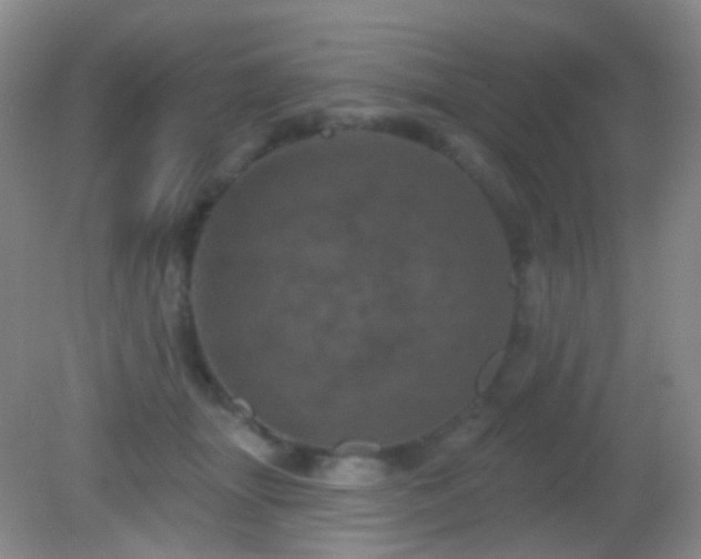 X0000082180463200701270031