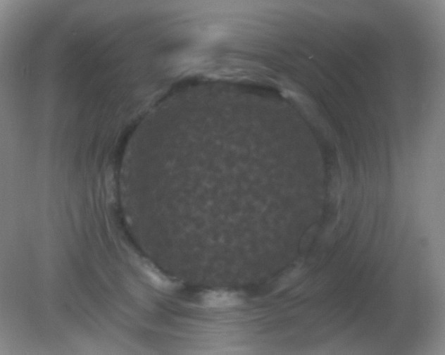 X0000082180465200701270031