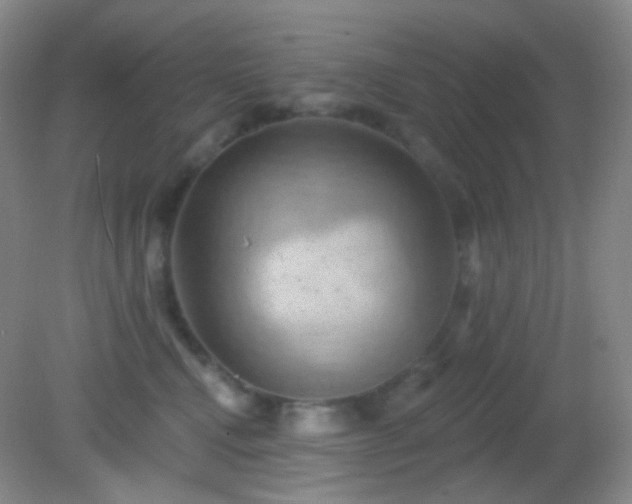 X0000082180472200701270031