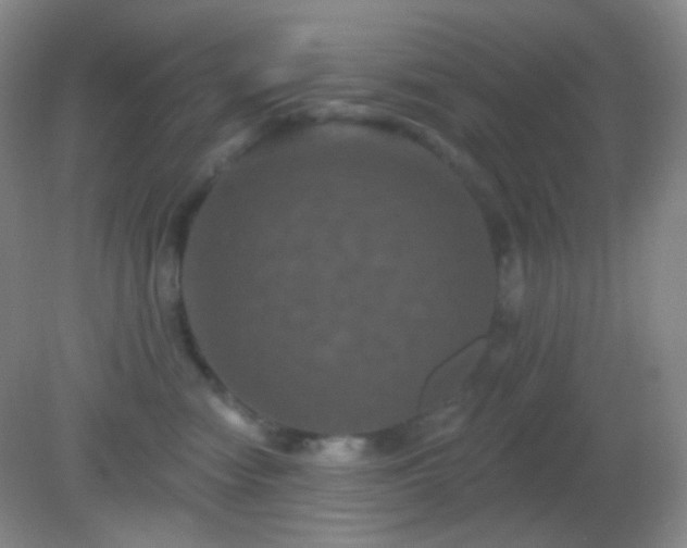 X0000082180474200701270031