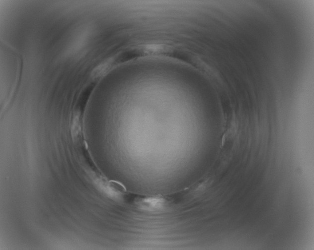 X0000082180478200701270031