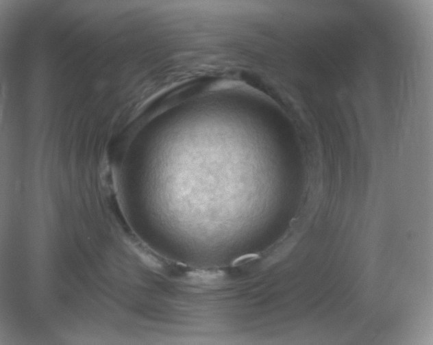 X0000082180480200701270031