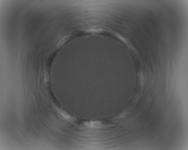 X0000082180517200701270030