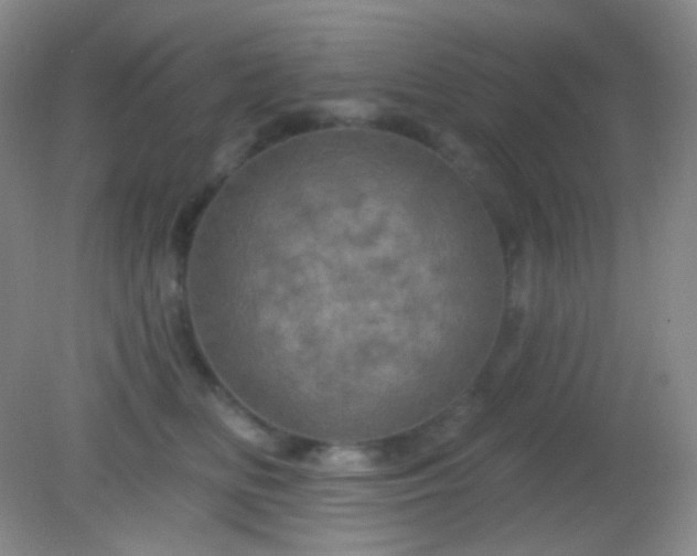 X0000082180518200701270030