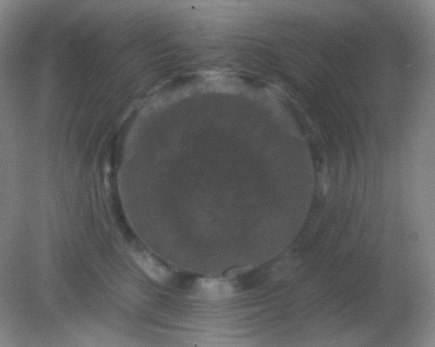 X0000082180520200701270030