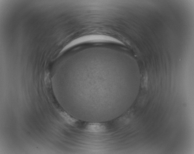 X0000082180521200701270030