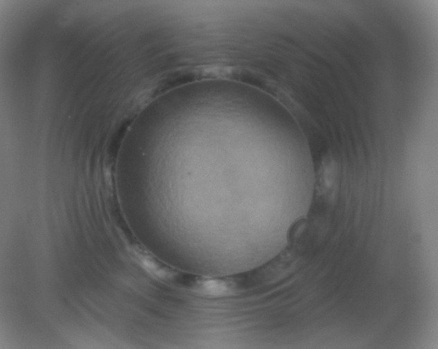 X0000082180522200701270030