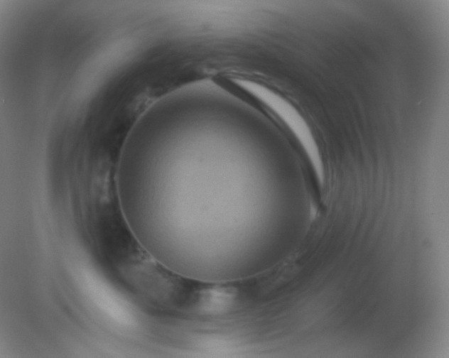 X0000082180525200701270030