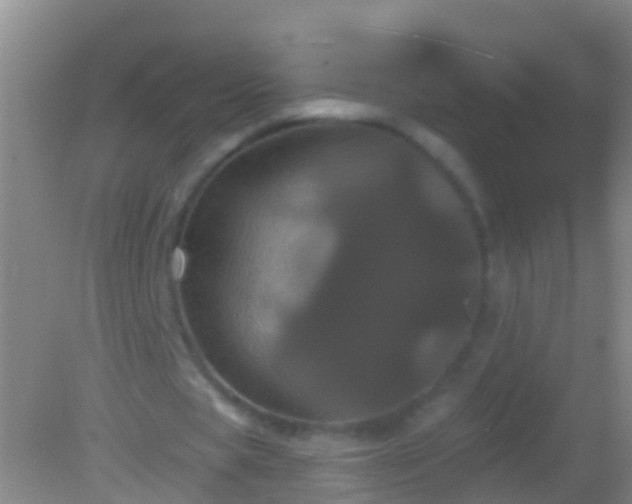 X0000082180529200701270029
