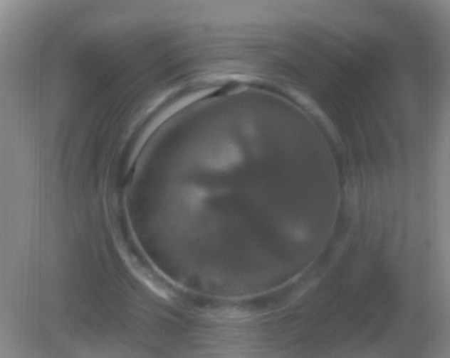 X0000082180533200701270029