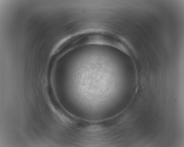 X0000082180536200701270029