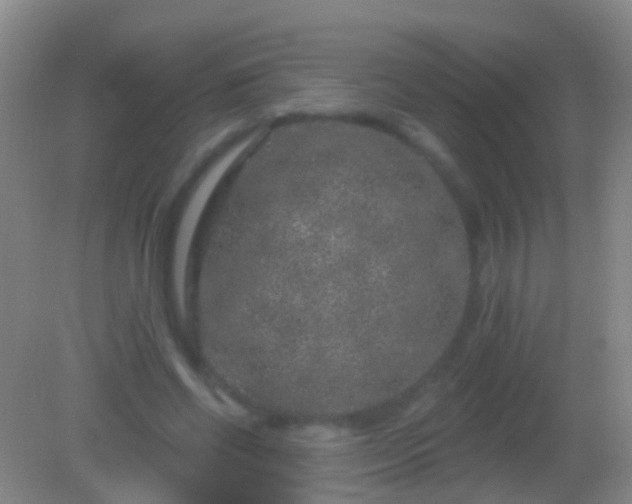 X0000082180542200701270029