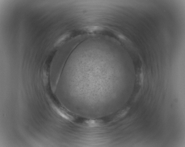 X0000082180558200701270029