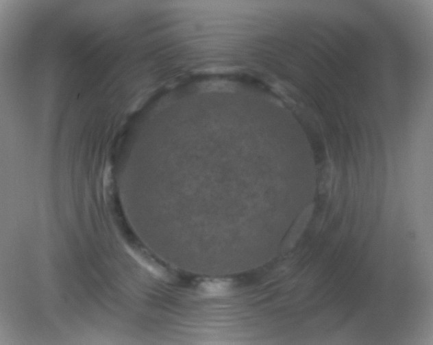 X0000082180560200701270029