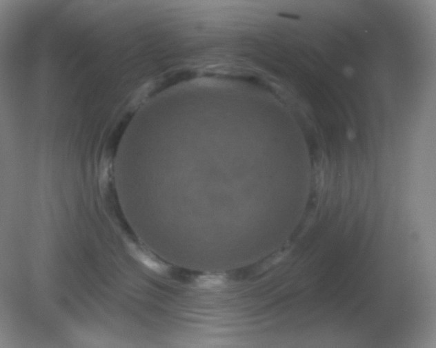 X0000082180574200701270030