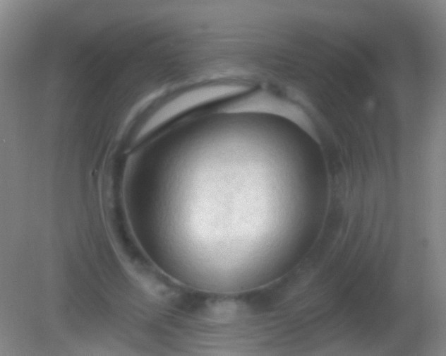 X0000082180587200701270029