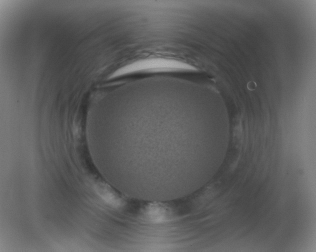 X0000082180608200701270028
