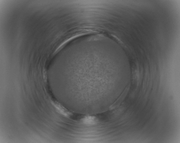 X0000082180609200701270028