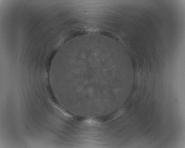 X0000082180614200701270028