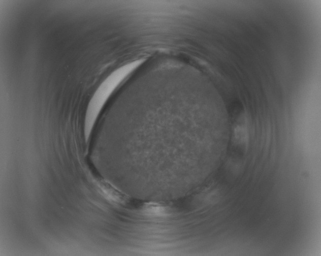 X0000082180620200701270028