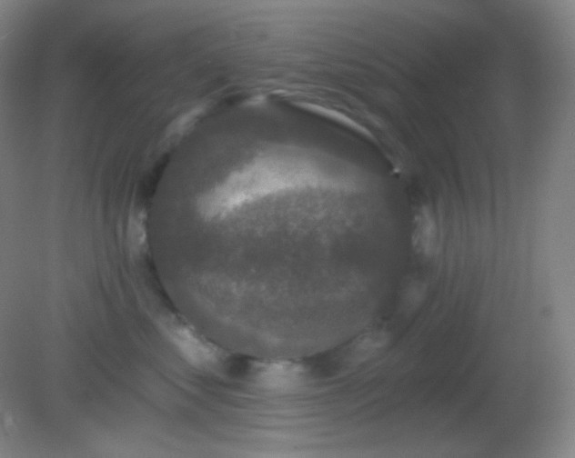 X0000082180621200701270028