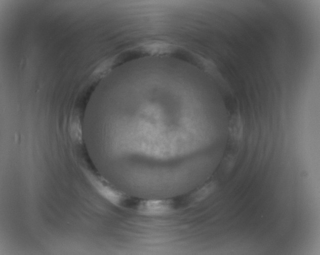 X0000082180622200701270028