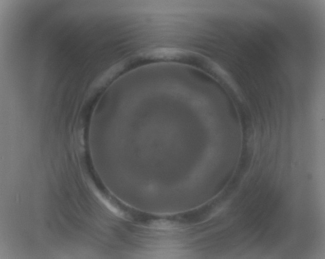 X0000082180633200701270027