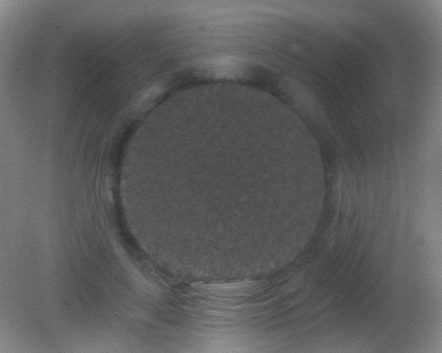 X0000082180643200701270027