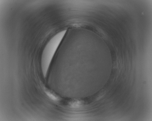 X0000082180646200701270028